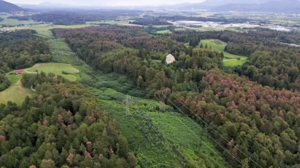 Luftaufnahme Drohnenflüge Über Das Slowenische Land Gelegentliche Häuser Wiesen Und — Stockvideo