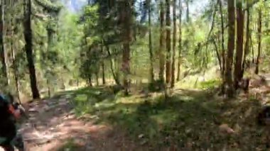 Bakış açısı, POV güneşli bir bahar gününde yürüyüş yaparken, ormanın içinde, Slovenya Alplerinde yeni yerler keşfetmek.. 