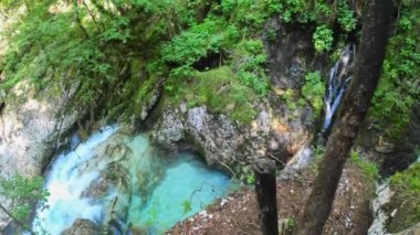 Slovenya 'da bir yerde ormanda saklı bir şelale. Kayalıklardan akan bir dere, köpüren bir su. Ormandaki yemyeşil yapraklar. Bakış açısı. Süre. 