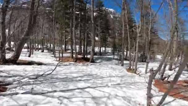 晴れた日にPovスキーツアー 冬はゆっくりと終了しており 春については まだ多くの雪が山の中で高く左を開始することです 晴れた日には空をスキーツアー — ストック動画