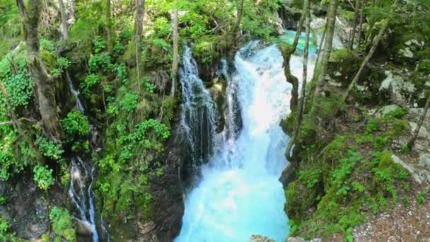 Waterfall Hidden Forest Somewhere Slovenia Stream Running Rocks Water Foaming — Vídeo de stock