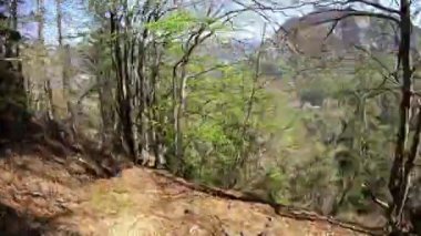 Bakış açısı, POV güneşli bir bahar gününde yürüyüş yaparken, ormanın içinde, Slovenya Alplerinde yeni yerler keşfetmek.. 