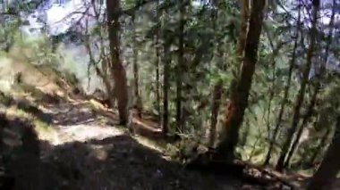 Bakış açısı, POV güneşli bir bahar gününde yürüyüş yaparken, ormanın içinde, Slovenya Alplerinde yeni yerler keşfetmek.. 