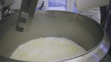 Caucasian women working at the dairy farm on the production line, packaging product, operating with machines mixing the milk, and making cheese curds. Dairy factory worker wearing all white uniform