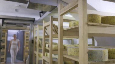 Woman, dairy factory worker walking into a room full of cheeses and picking one up to take it to the cheese shop. 