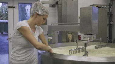 Caucasian women working at the dairy farm on the production line, packaging product, operating with machines mixing the milk, and making cheese curds. Dairy factory worker wearing all white uniform