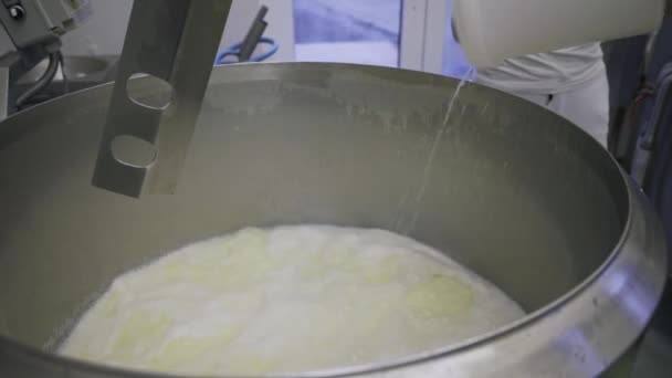 白人妇女在生产线上的奶牛场工作 包装产品 用机器搅拌牛奶 制作奶酪凝块 奶牛场工人全穿白色制服 — 图库视频影像