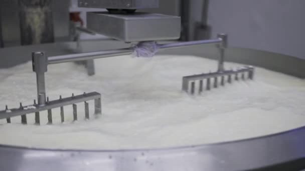 酪農場の大きな工業用サイズの鍋に3つの機械式腕の混合カードの映像 チーズカードを作る — ストック動画