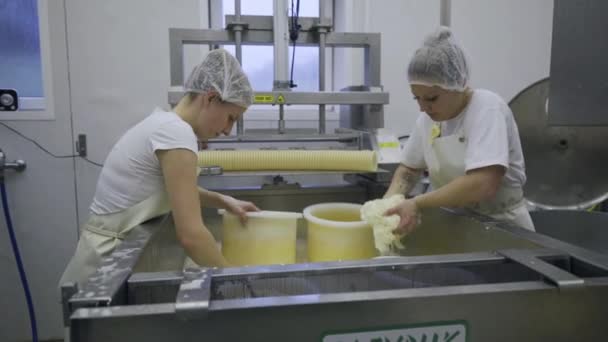 Kaukasiska Kvinnor Som Arbetar Mjölkgården Produktionslinjen Förpackningsprodukter Arbetar Med Maskiner — Stockvideo