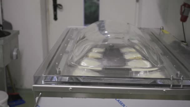 Vacuum Machine Dairy Farm Sealing Portioned Pieces Cheese Plastic Bags — Vídeo de Stock