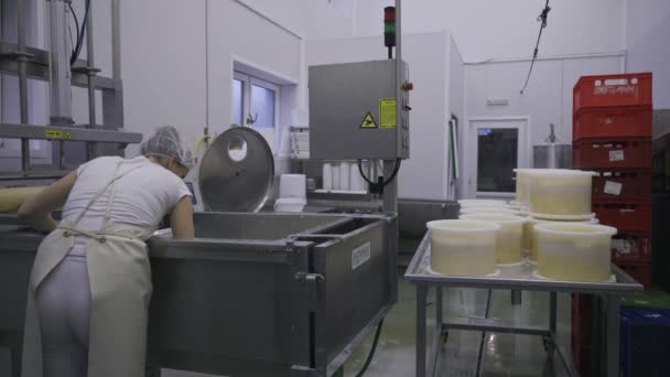 Caucasian Women Working Dairy Farm Production Line Packaging Product Operating — Stockvideo