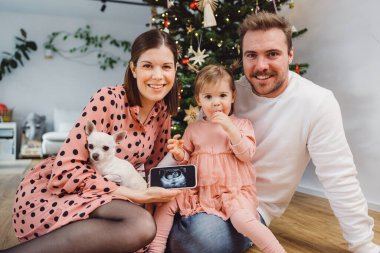 Beautiful young caucasian family Christmas portrait. Mom, dad and a little girl. Mom and daughter wearing pink dresses, dad wearing a white sweater. A little dog, chihuahua joining them on the photos