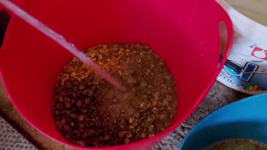 Unrecognizable caucasian woman working at the ranch preparing food, different grains for horses to eat, putting the grain in bins. 