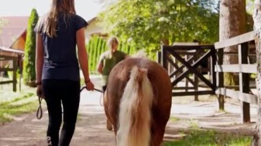 Caucasian young girls walking with a ponies on the ranch taking them for a ride. 