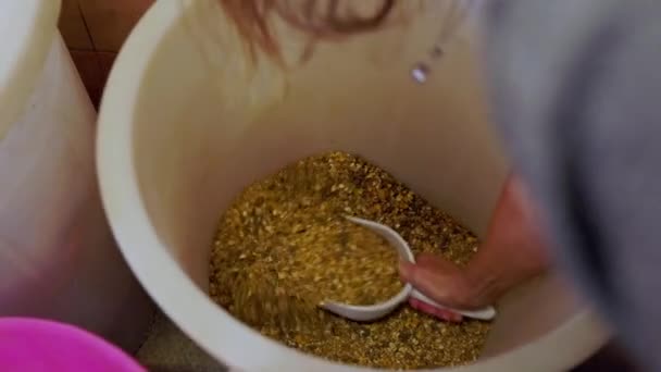 Unrecognizable Caucasian Woman Working Ranch Preparing Food Different Grains Horses — Video
