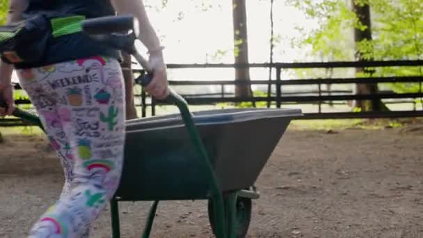 View Back Unrecognizable Woman Working Ranch Walking Wheelbarrow — Vídeo de Stock