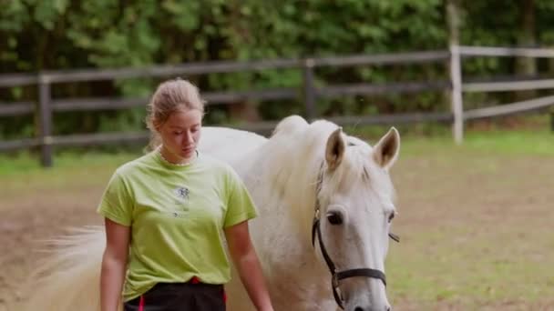 Waist Caucasian Woman Trainer Walking White Horse Leash Taking Hime — Vídeo de Stock
