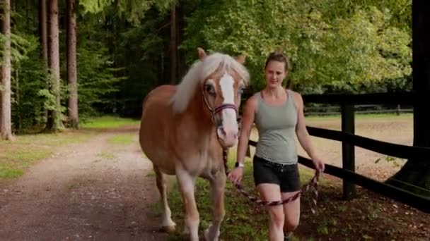 Λευκή Γυναίκα Εκπαιδεύτρια Περπατά Ένα Ξανθό Άλογο Στο Ράντσο Και — Αρχείο Βίντεο