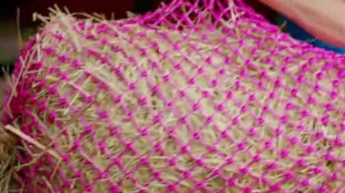 Caucasian woman working on the horse ranch, cleaning the stables, carrying hay, making sure all things around the ranch are taken care of. 