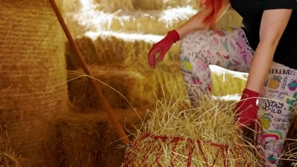 Caucasian Women Working Horse Ranch Moving Hay Stables Life Ranch — Stock Video