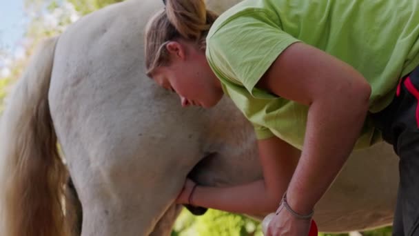 Caucasian Woman Taking Care Horse Applying Healing Cream Horses Thigh — Stock Video