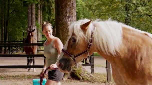 Caucasian Woman Trainer Walking Blonde Horse Ranch Taking Him Ride — Video
