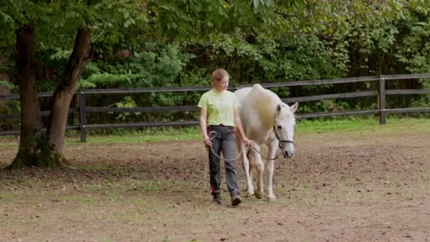 Caucasian Woman Trainer Walking White Horse Leash Taking Hime Ride — Stock Video