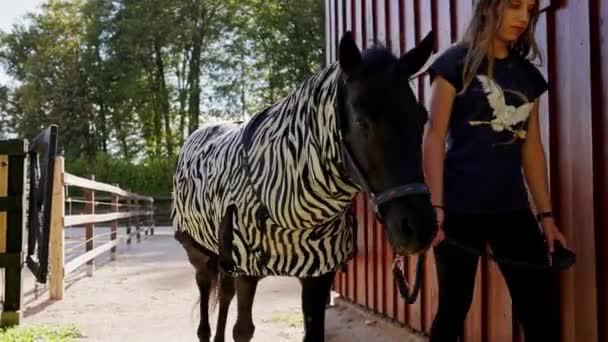 Caucasian Woman Working Ranch Training Taking Care Horses Walking Horse — Vídeo de Stock