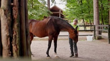 Caucasian woman and her horse. Woman grooming the horse, brushing his hair, taking him to the sables. Life on a horse ranch in the countryside. 