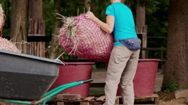 Woman working at the ranch unloading hay from a wheelbarrow.