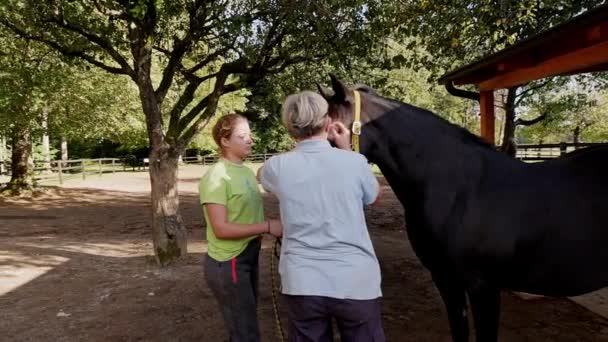Back View Senior Woman Taking Care Sick Horse Inflamed Eyes — Vídeo de Stock
