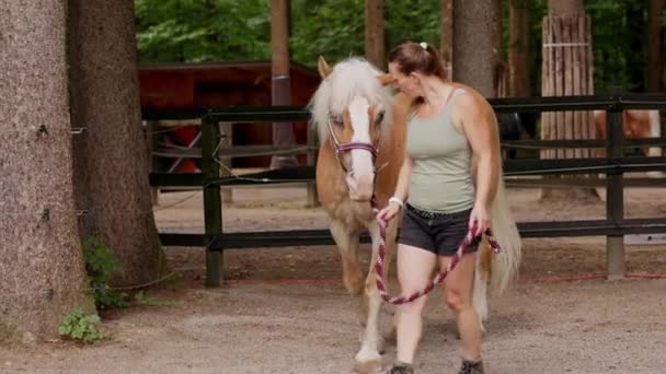 Λευκή Γυναίκα Που Περπατάει Λουρί Άλογο Γυναίκα Που Δουλεύει Άλογα — Αρχείο Βίντεο