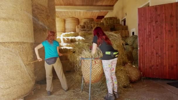 Caucasian Women Working Horse Ranch Moving Hay Stables Life Ranch — Stock Video