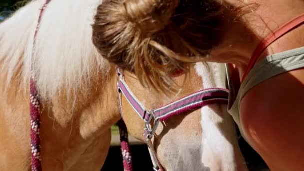 用湿布擦拭马的眼睛 轻轻擦去污垢 一个女人在牧场里训练她的马 — 图库视频影像