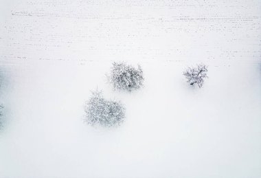 Beautiful winter nature, white snow covering the land, trees covered in snow, branches cracking under the weight. Frozen winter lake, beautiful winter scenery. 