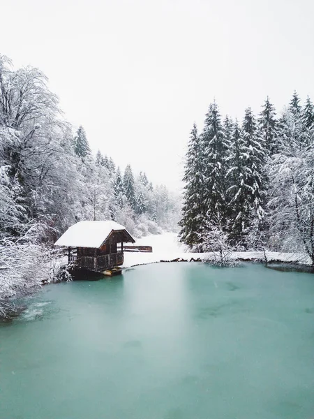 Beautiful winter nature, white snow covering the land, trees covered in snow, branches cracking under the weight. Frozen winter lake, beautiful winter scenery.