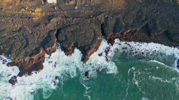 Κηφήνας Που Πετά Πάνω Από Βραχώδη Ακτή Της Ισλανδίας Βράχια — Αρχείο Βίντεο