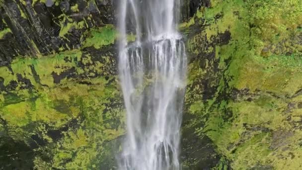 Iceland Waterfall Nature Travel Landscape Icelandic Nature Background Popular Tourist — Vídeo de Stock