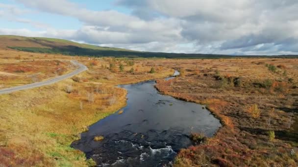Luftaufnahme Eines Flusses Und Einer Straße Durch Isländische Landschaft Der — Stockvideo