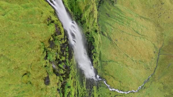 Islande Cascade Nature Voyage Paysage Dans Nature Islandaise Fond Attraction — Video