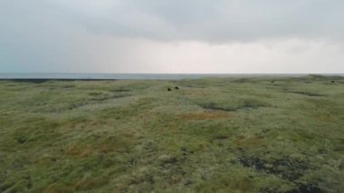 The black sands beaches of Selheimasandur in Southern Iceland. 