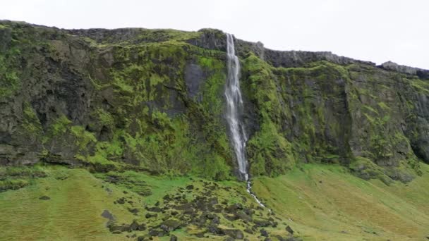 Island Vattenfall Natur Resa Landskap Isländsk Natur Bakgrund Populär Turistattraktion — Stockvideo