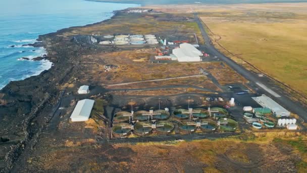 秋の晴れた日にアイスランドのどこかの海で環境や健康的な概念のための水処理工場 — ストック動画