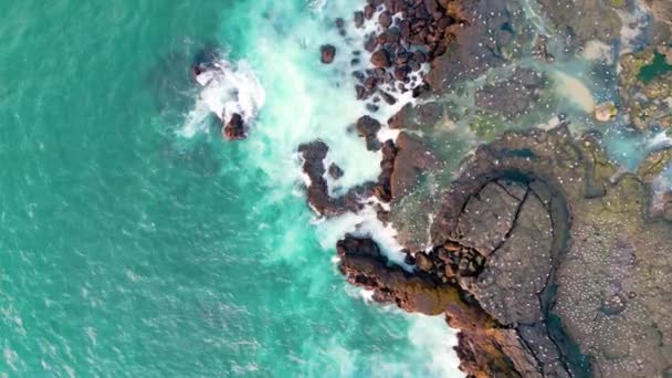 岩の多いアイスランドの海岸を崖で飛行するドローン 海での生活 2022年秋 高品質の写真 — ストック動画