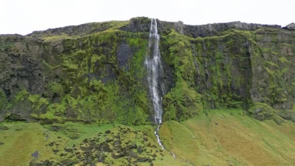 Iceland Waterfall Nature Travel Landscape Icelandic Nature Background Popular Tourist — Stock Video