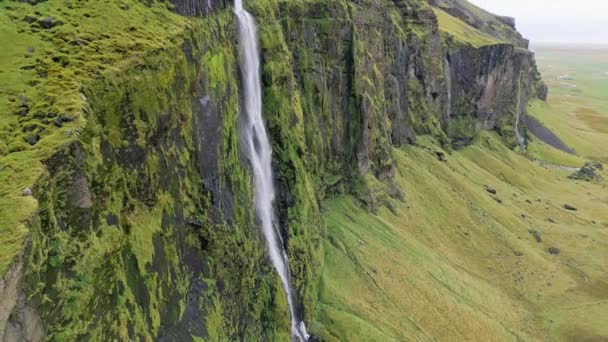 Island Vattenfall Natur Resa Landskap Isländsk Natur Bakgrund Populär Turistattraktion — Stockvideo