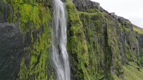 Iceland Waterfall Nature Travel Landscape Icelandic Nature Background Popular Tourist — Stok video