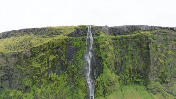 Iceland Waterfall Nature Travel Landscape Icelandic Nature Background Popular Tourist — ストック動画
