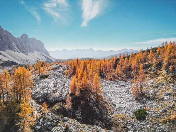 Fantastic Autumn Mountain Views Triglav National Park Red Autumn Forest — Stock Photo, Image