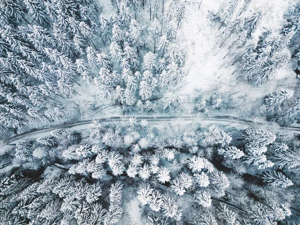 Aerial View Road Snow Covered Forest Top Aerial View High — Stock Photo, Image